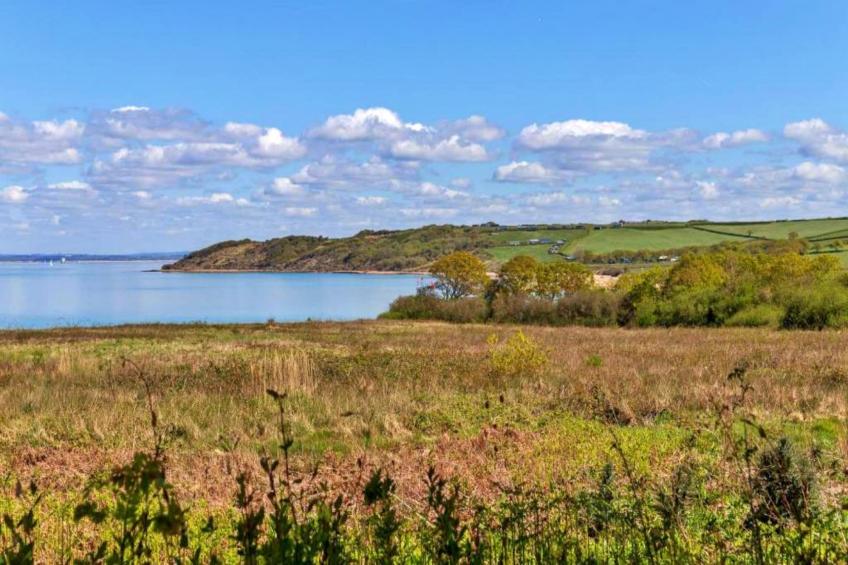 Beachlands - foto 19
