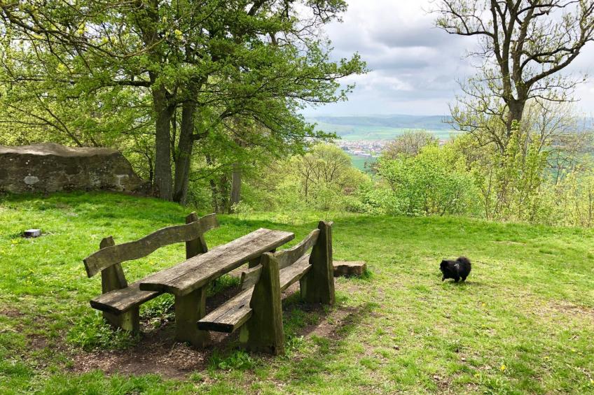 Fewo Slepitzka - foto 35