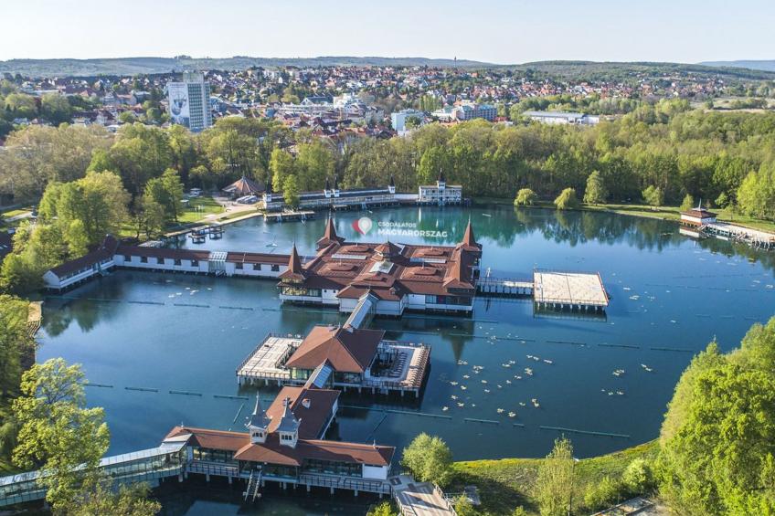 auf großem Gartengrundstück - foto 29