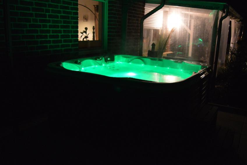 Storchennest - foto 10