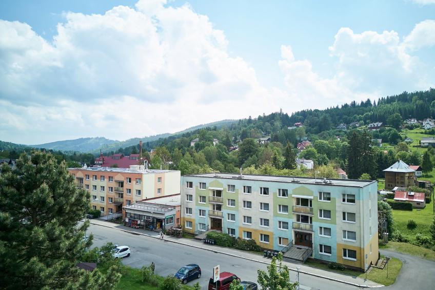 Forest line - foto 25