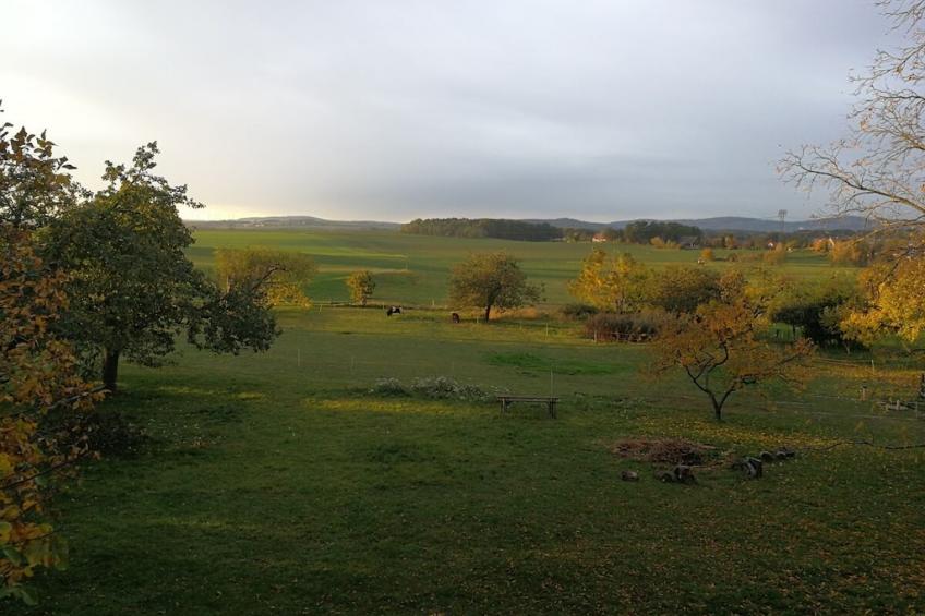 182716 - foto 19