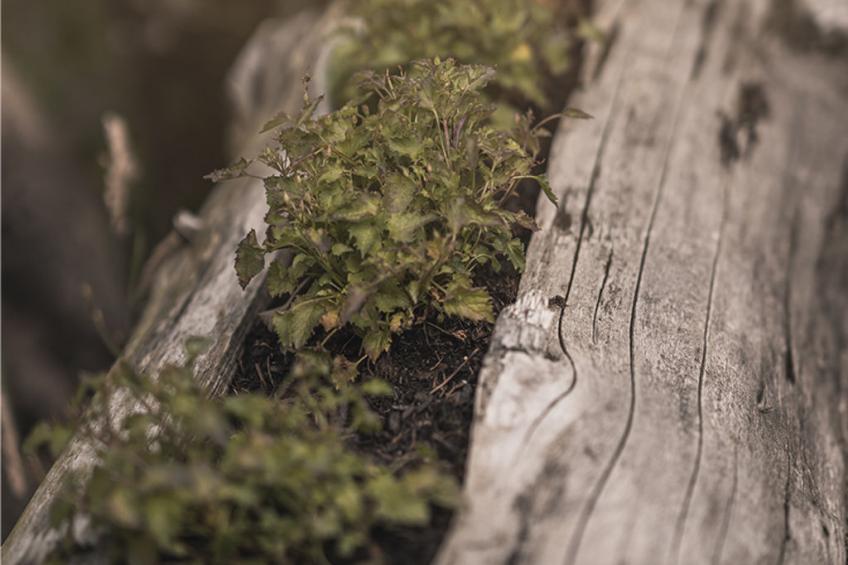 Haus für 22 Personen mit Außensauna und HotTub - foto 24