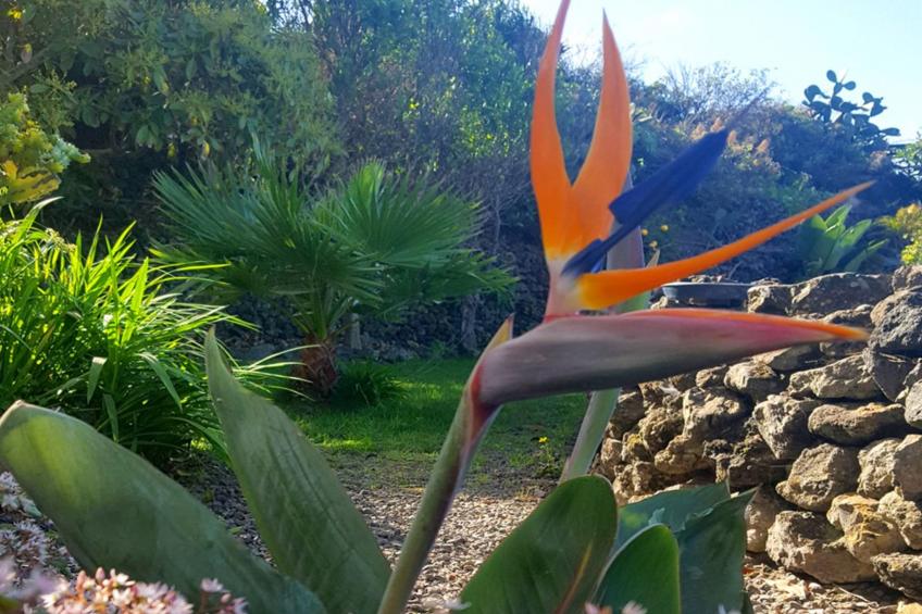 Schönes Apartment in Genovés mit Ozeanblick - foto 13