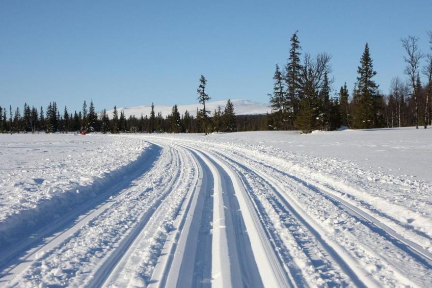 Charmantes Blockhaus, Sauna und Kamin - foto 21