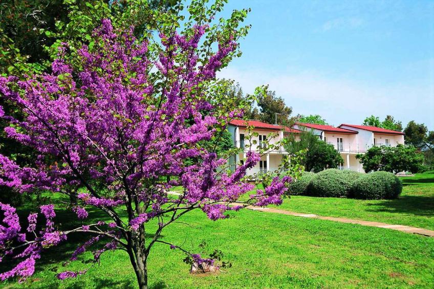 Holiday apartment in the tourist complex Ai Pini Resort  - BF-68C2 - foto 8
