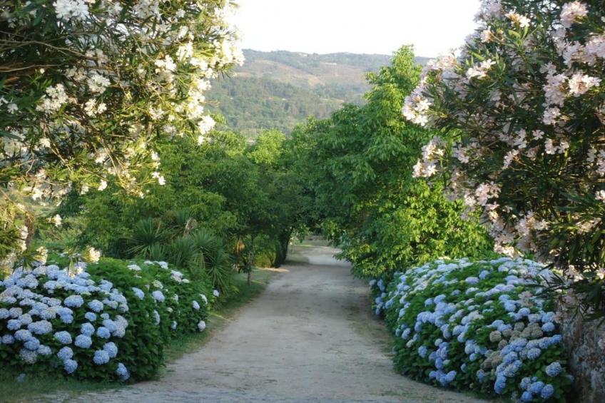 Casa do Tanque - foto 33