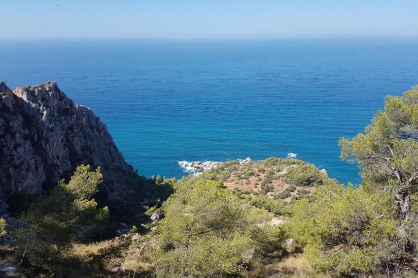 Eine Oase der Ruhe mitten in der Stadt - foto 35