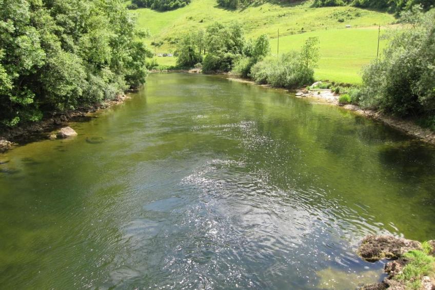 Maison Ruth/Galerie - foto 5