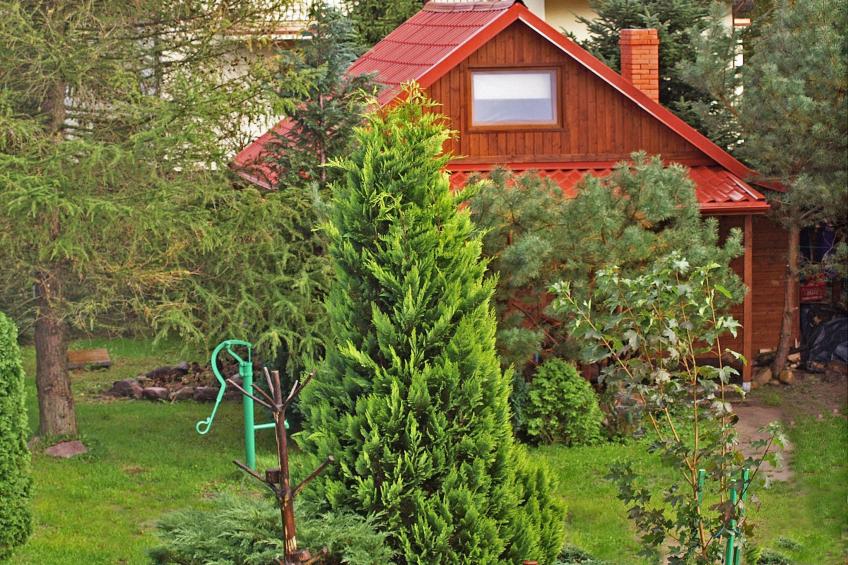 Domek wakacyjny z 1 sypialnią na piętrze w Kopalinie - foto 26