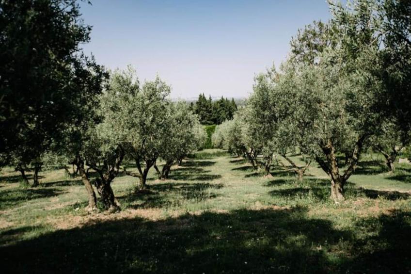 La Volière - Pernes-les-fontaines - foto 27