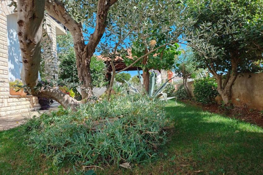 Apartments Snježana Carev  - Studio Apartment with Terrace A-1 - foto 16