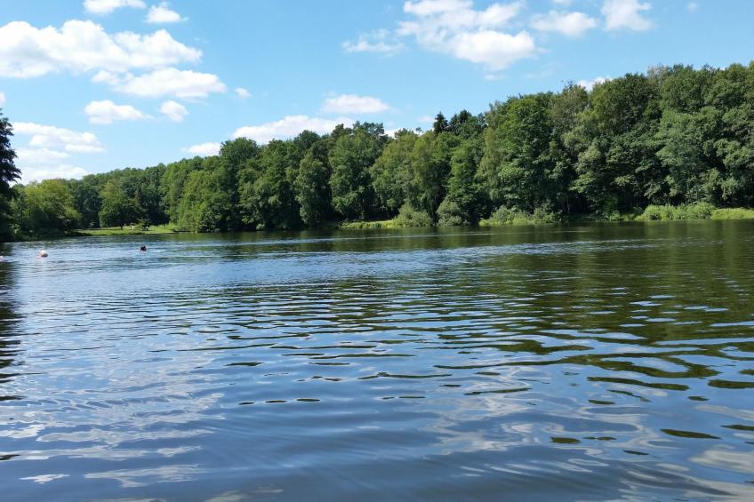 Heidebungalow - foto 31