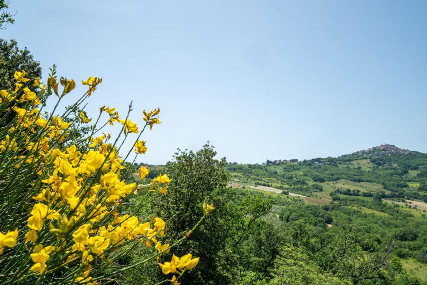 Nonna Gemma - foto 46