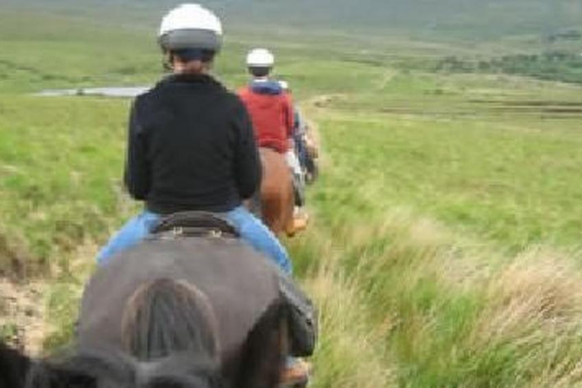 Finca "Casa do Portomartiño" - foto 15