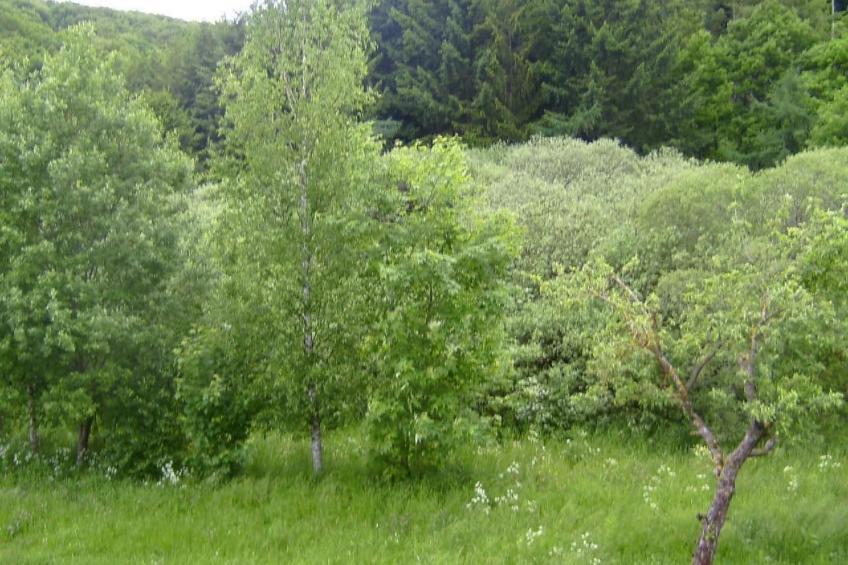 Ober Langengarten - foto 59