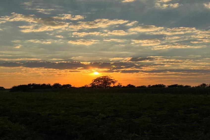 Vakantiepark Horsetellerie - foto 29