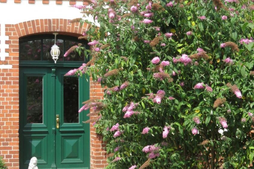 Jugendstilhaus im Landhaus Elbwiesen - foto 4