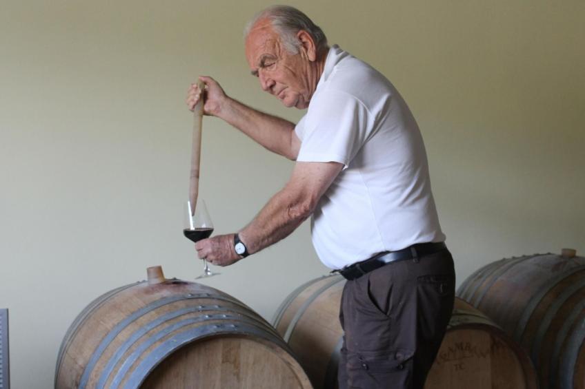 'Barbera' mit Pool - foto 24