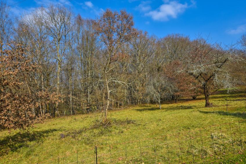 La Maison Albizzia - foto 18