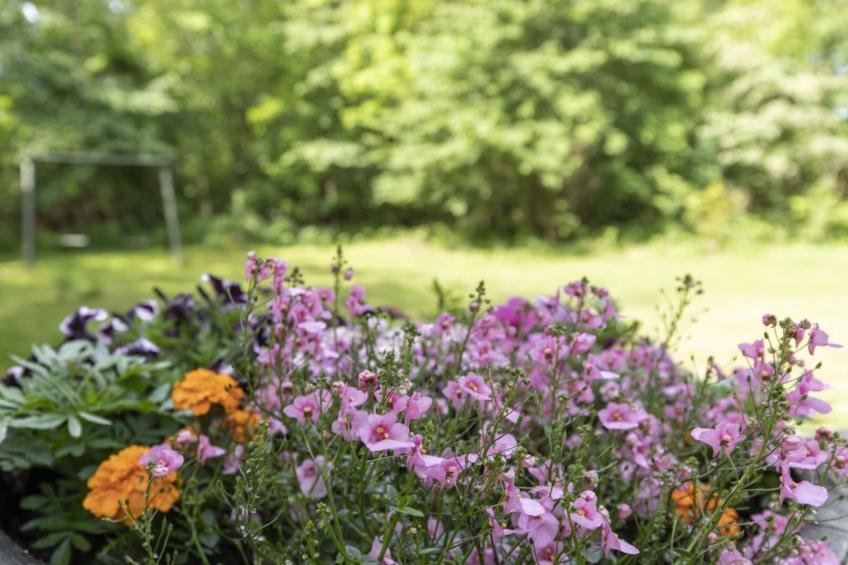 "Lucjan" - 200m from the sea in Bornholm - foto 8