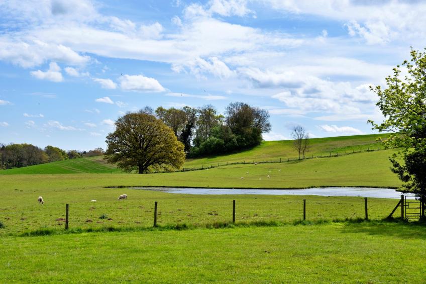 Hay and Hedgerow Glamping - foto 23