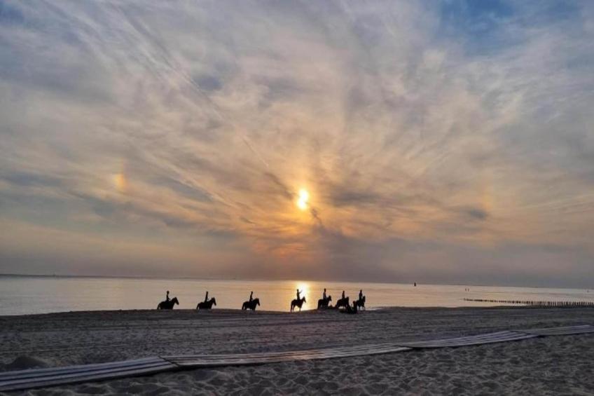 Zoutelandseweg 2 Biggekerke - foto 21