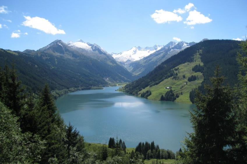 Rosengarten - foto 17