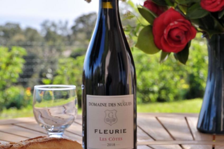 Weingut Punta della Guardia Panorama von Macchia und Meer - foto 4