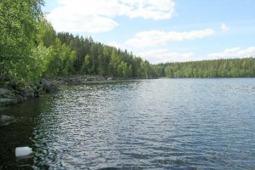 Lomakuikka - foto 44