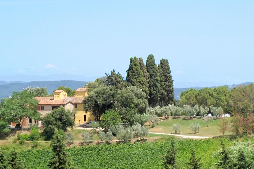 Podere Campiglia (TVN194) - foto 26