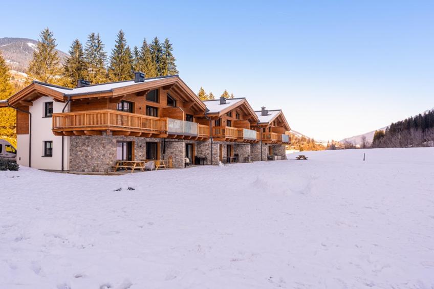 Pinzgau Lodge 2D - foto 48
