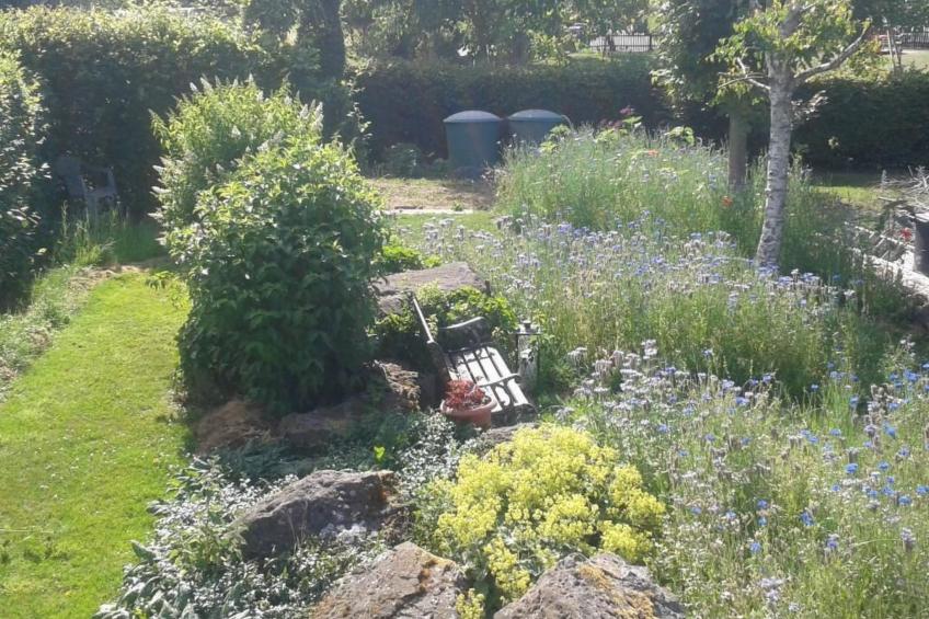 Appartement in Berlingen mit Garten und Terrasse - foto 5