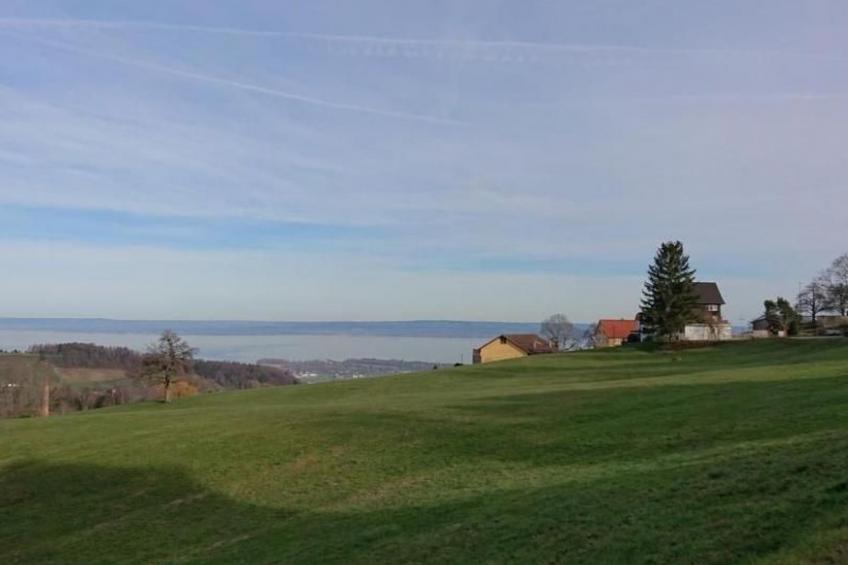 Ferien in der Vogelherd - foto 22