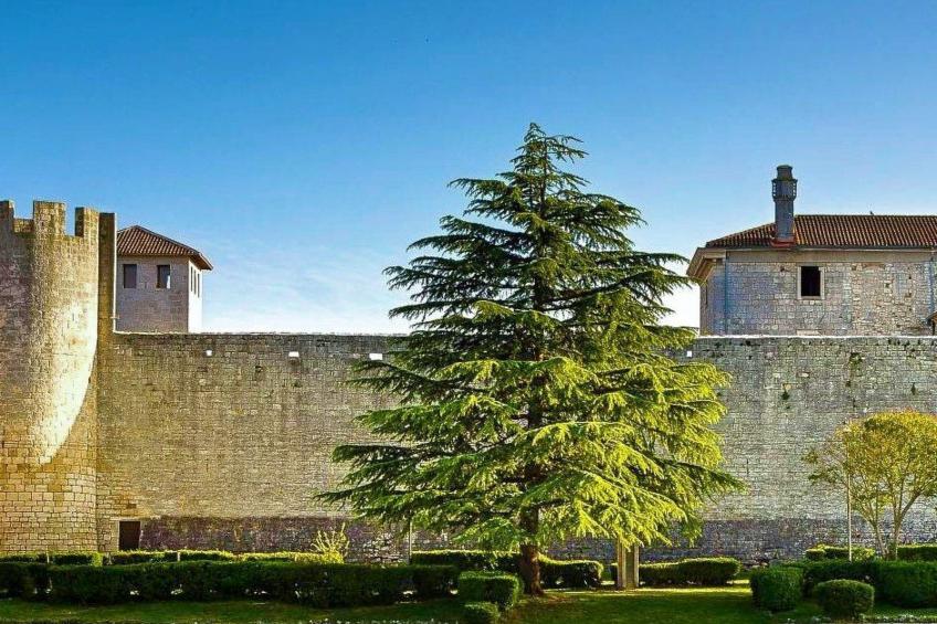 Wohnung "Wohnung Sterna mit Pool" - foto 59