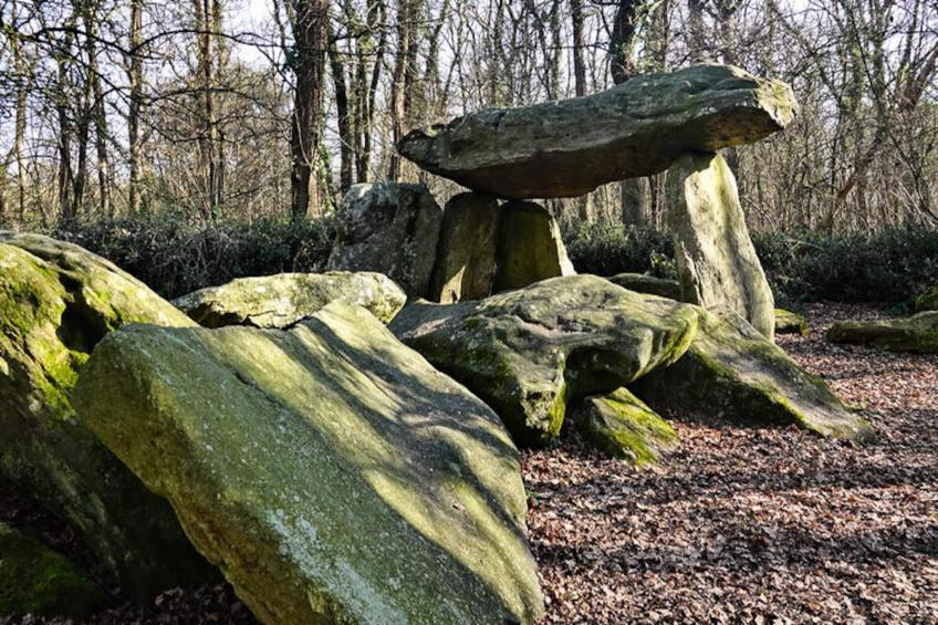 Maison à Commequiers - foto 21