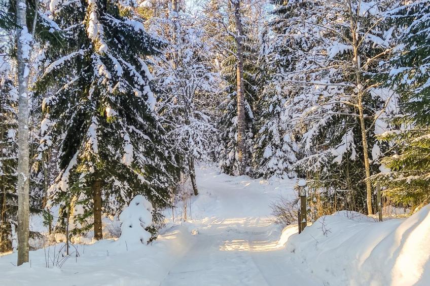 Annelinniemi - foto 27