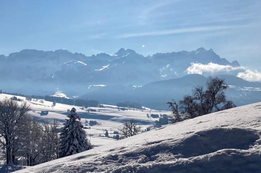 Kleines Loft - foto 24