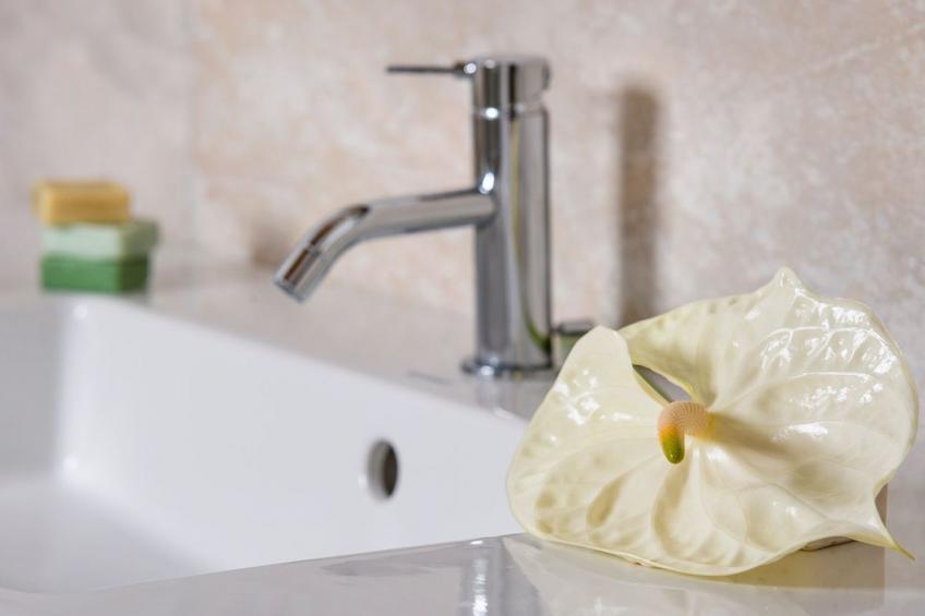 Villa Elettra Marcheholiday - foto 36