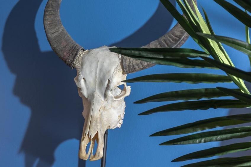 Stilvolle Wohnung in El Charco - Arrecife - foto 14