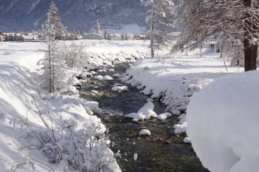 Chesa Arettas - foto 36