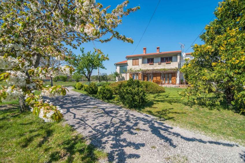 Vakantiewoning met airconditioning en terras - BF-K2ZZ3 - foto 4