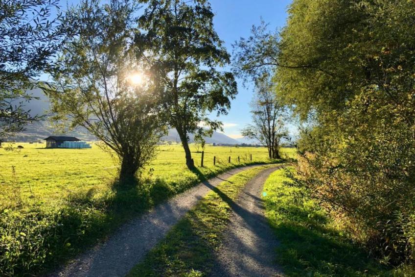 Hintermoos - foto 20