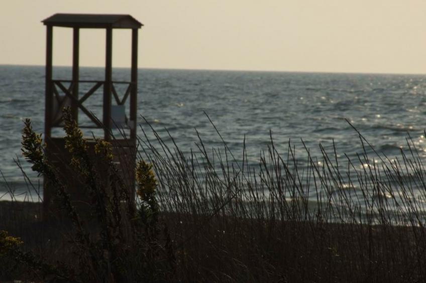 Rosa Peonia' Wohnung mit Terrasse - foto 30