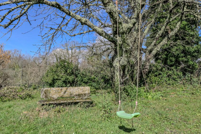 Romiccioli - foto 34