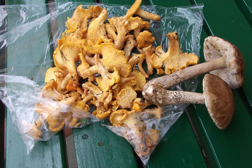 Wohnung Rozika - foto 32