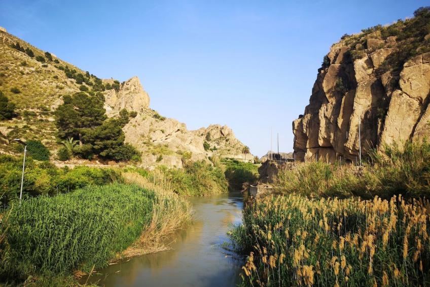 Domicilio de Vida - foto 53