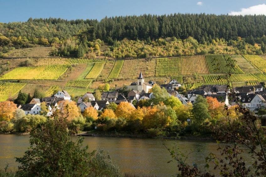 Haus Budinger - foto 7