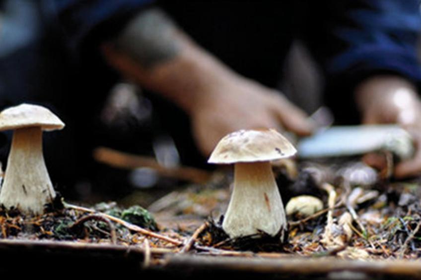 Toskana Poggio Cantarello - foto 31