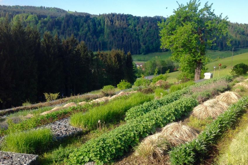 Kräuterhof-Ferienwohnung - foto 20